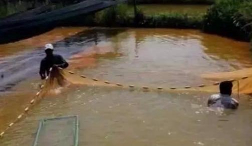 水浑了？不用怕，这五个方面让水质恢复清新