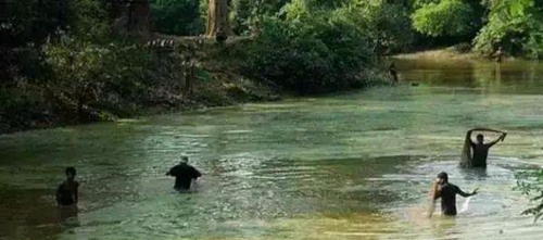 水浑了？不用怕，这五个方面让水质恢复清新